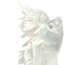 avatar 🪽MARCO🪽