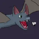yairaph avatar