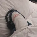 not._.youraveragecatlover