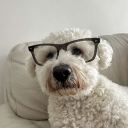 avatar Francesca Dal Cin