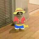 kakaaraujo1
