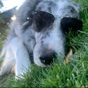mati.fernandes_the_goat avatar