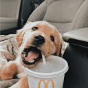 thecovidgrinch's profile picture
