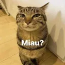 loki_saro34