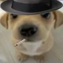 pedruzxh