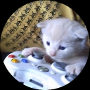 Tupana_remi