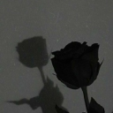 shadowcantangle avatar