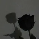 shadowcantangle