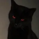 dr2g0n1_