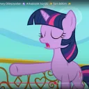 Poni