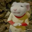 niccunt