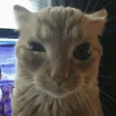 realhimothy_