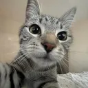 vince.1