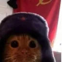 wojtollo231_52008 avatar