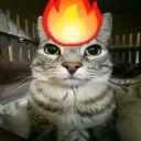 hi_andbye avatar