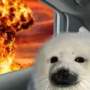 carbonvideo