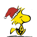 totallynot.e's Avatar