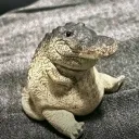 hfdhgffn_75961