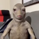 alex500fps