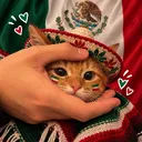 mochyt0