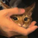 mochyt0