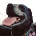 nillabutt