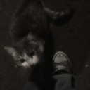 avatar !    Adi [left]