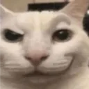 ziky_editor