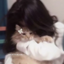 avatar 𝘙𝘪𝘥𝘩𝘪𝘪𝘪 ᡣ𐭩