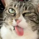 spicyp4n