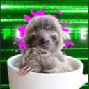 pbcookie. avatar