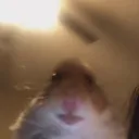 trentondyt19 avatar
