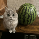 avatar skibidi_cum173