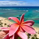 surfergirl30_