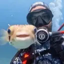 mini_moni1