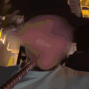 laviecestharr66