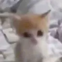 mildheadache1 avatar
