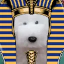 .rhas. avatar