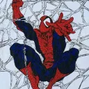 spidoscar10 avatar