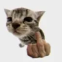 xlima_ofc
