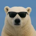 bearz.gg