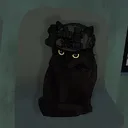 sir_notanon