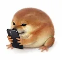 guydznhats_1