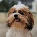 itzaspyt