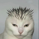 avatar MassiveDumps4u