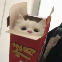 hushshlub