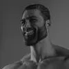 elite_stony