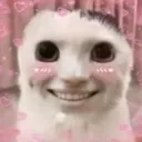 user_iscool.