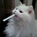jikaballa