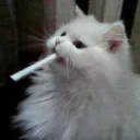 jikaballa